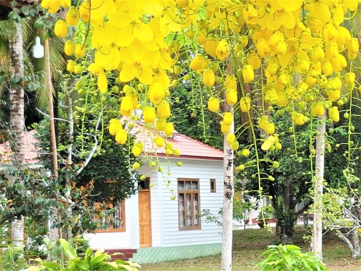 ตังทัญฟัต รีสอร์ต Hotel ฟู้โกว๊ก ภายนอก รูปภาพ